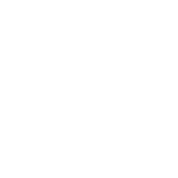 Xbox Logo